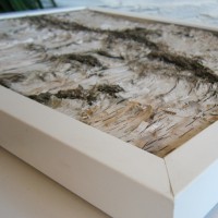 /album/fotogalerie-startseite/pc210123-jpg1/